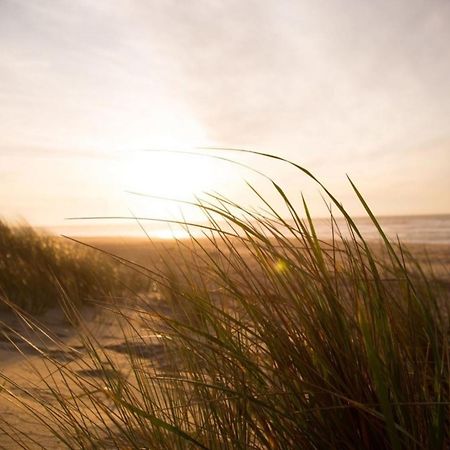Grosse Nordseewelle Ohne Hund Norden Esterno foto