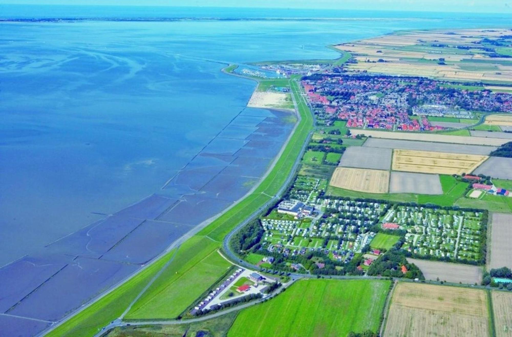 Grosse Nordseewelle Ohne Hund Norden Esterno foto