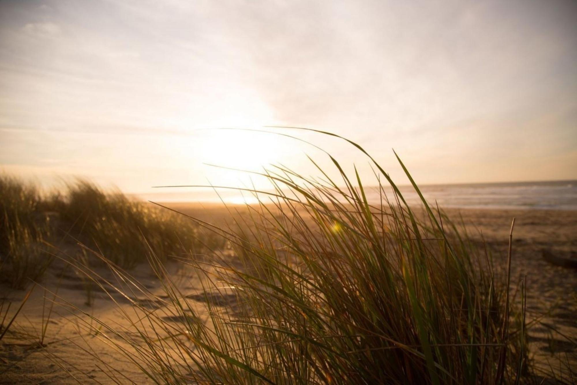 Grosse Nordseewelle Ohne Hund Norden Esterno foto